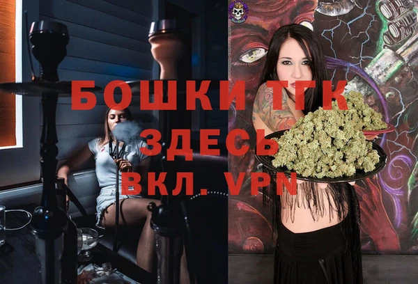 тгк Алексин