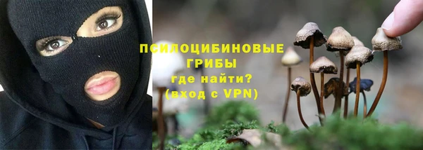 тгк Алексин