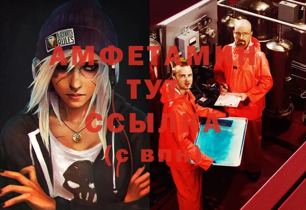 ECSTASY Алзамай