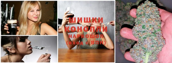 ECSTASY Алзамай