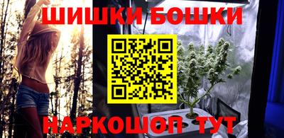прущие крисы Кингисепп