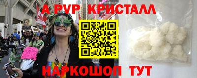 прущие крисы Кингисепп