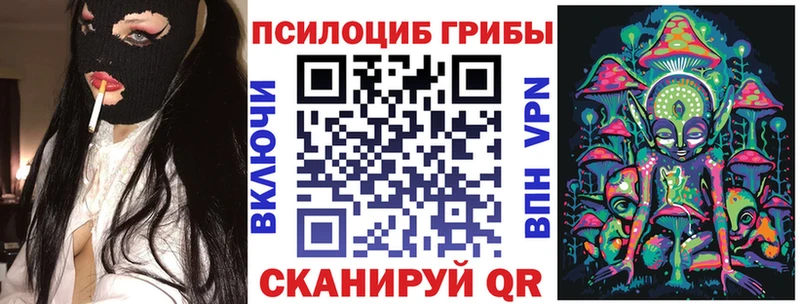 Псилоцибиновые грибы GOLDEN TEACHER  Красноармейск 